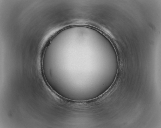 X0000113861464200909241016