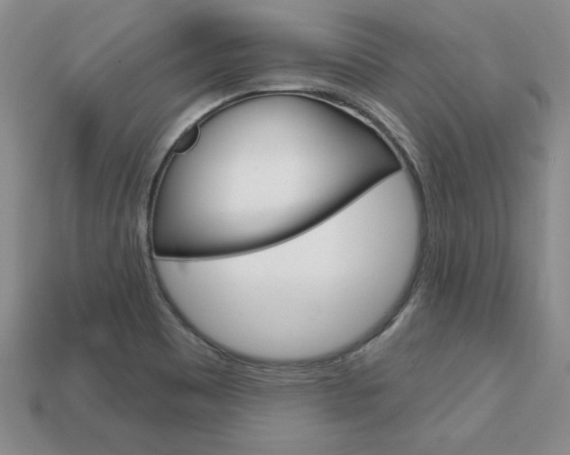 X0000113861465200909241016