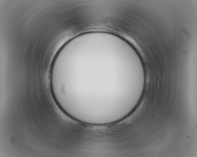 X0000113861466200909241016