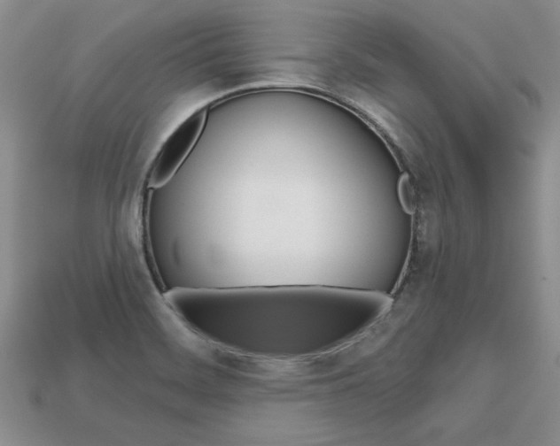 X0000113861468200909241016