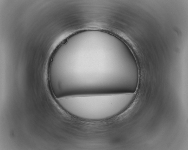 X0000113861469200909241016