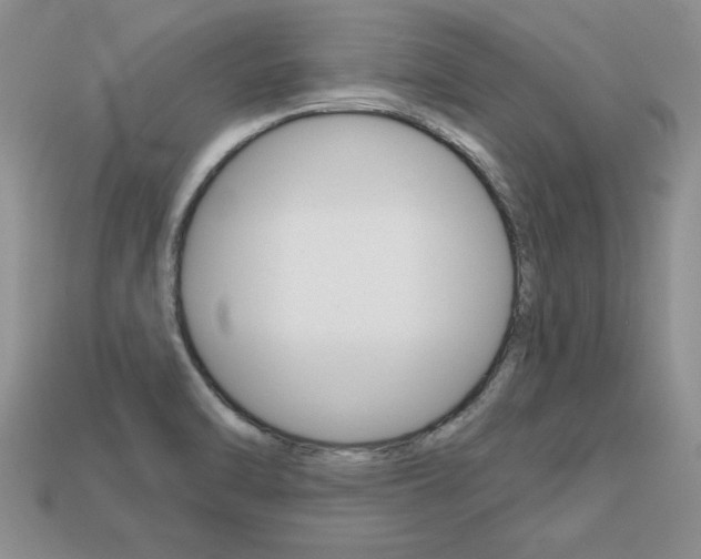 X0000113861470200909241016