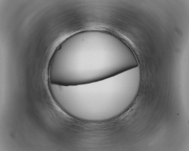 X0000113861471200909241016
