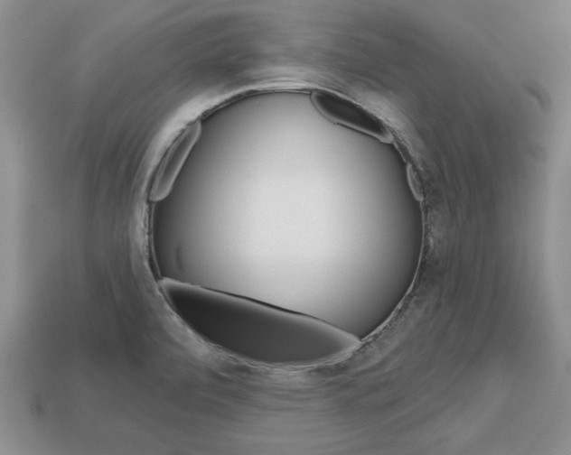 X0000113861472200909241016