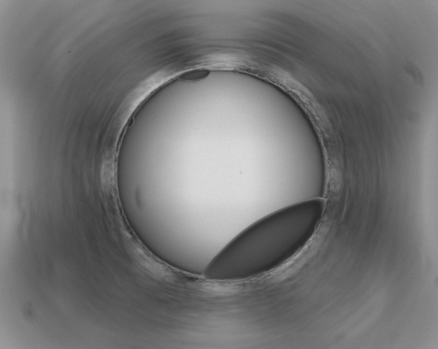 X0000113861473200909241016