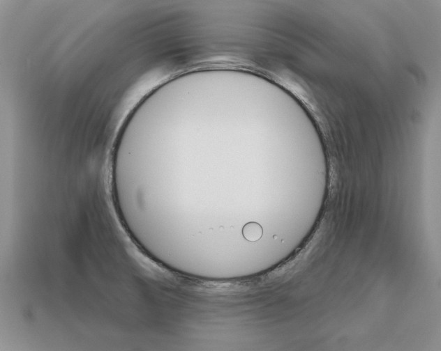 X0000113861474200909241016