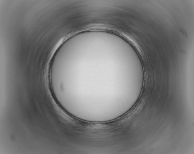 X0000113861475200909241016