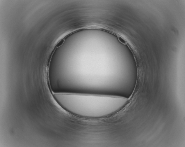 X0000113861476200909241016