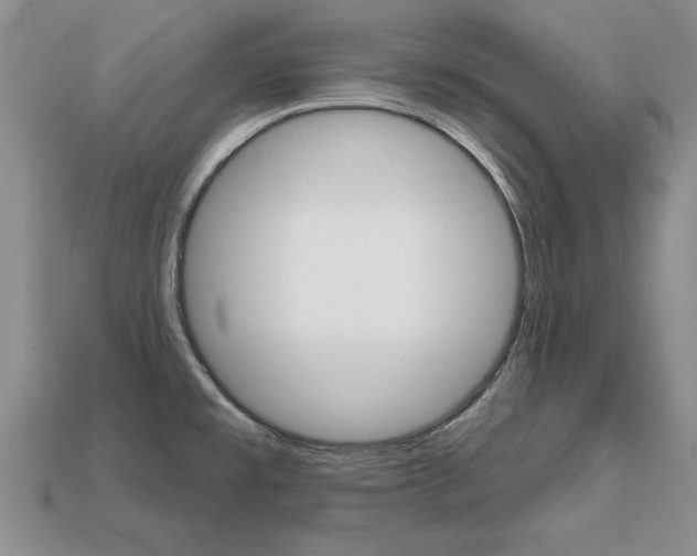 X0000113861477200909241015