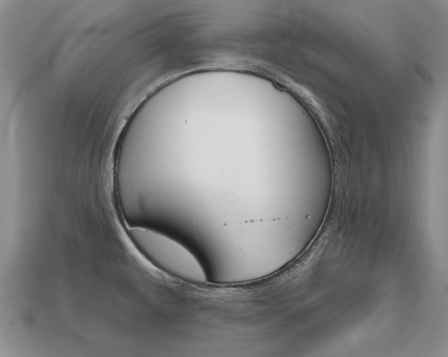 X0000113861479200909241015