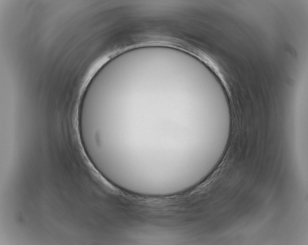 X0000113861480200909241015
