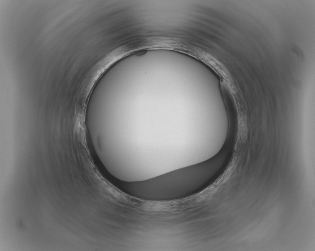 X0000113861481200909241015
