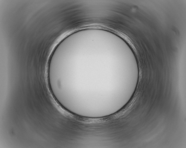X0000113861482200909241015