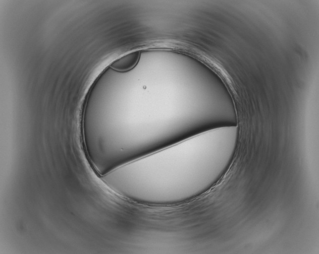 X0000113861483200909241015