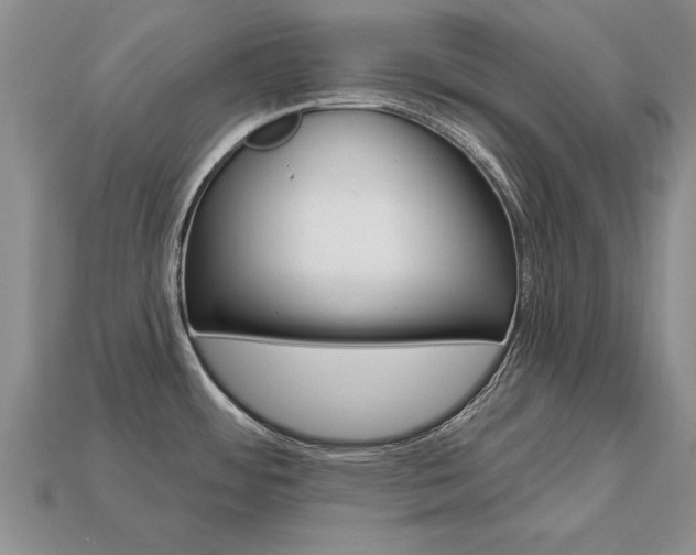 X0000113861484200909241015