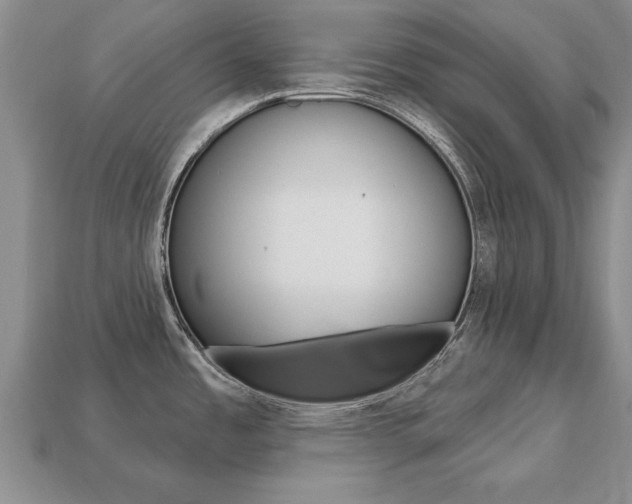 X0000113861485200909241015