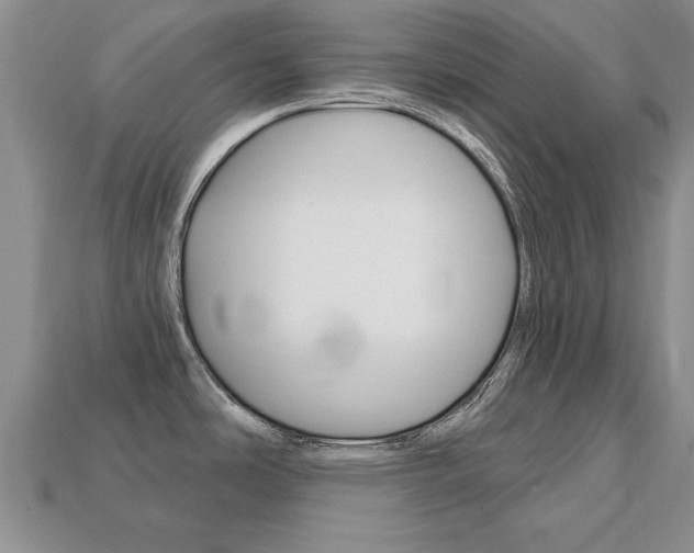 X0000113861486200909241015