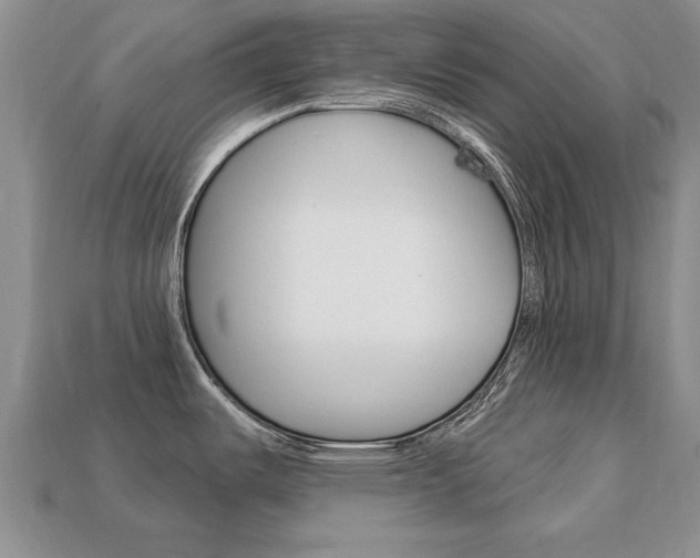 X0000113861487200909241015