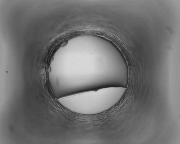 X0000113861493200909241015