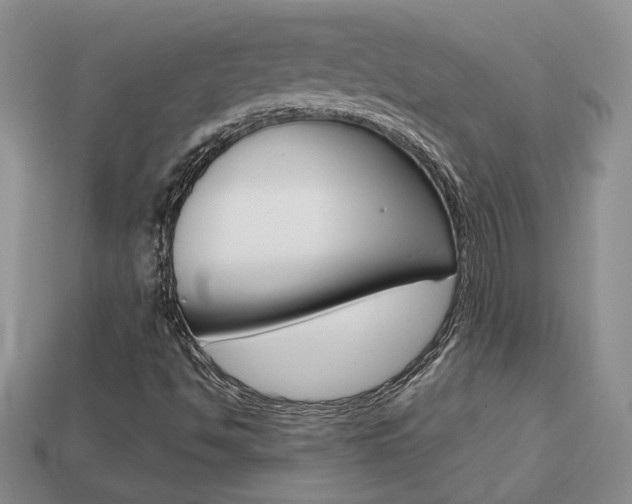 X0000113861494200909241015
