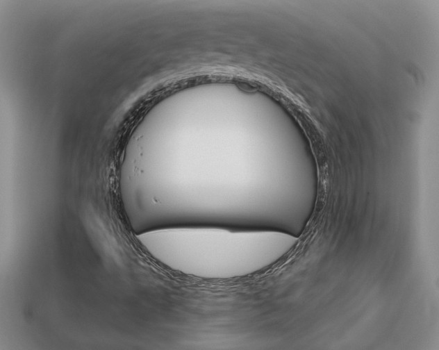 X0000113861495200909241015