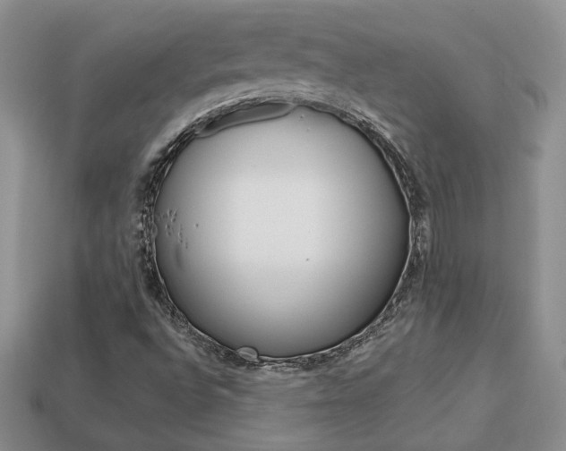 X0000113861496200909241015