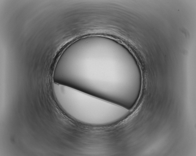 X0000113861497200909241015