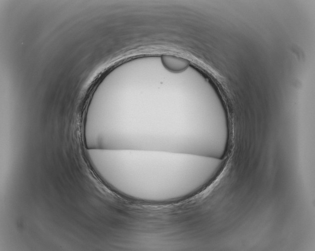 X0000113861498200909241015