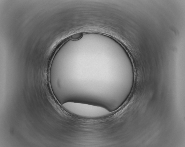 X0000113861499200909241015