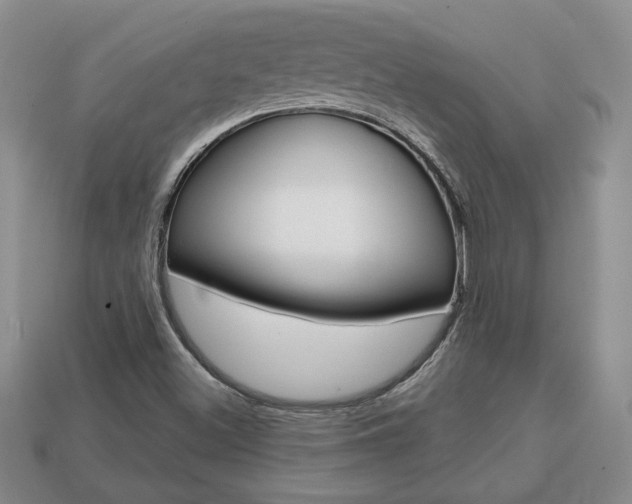 X0000113861500200909241015