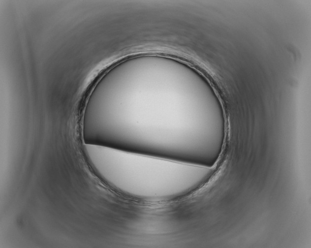 X0000113861501200909241015