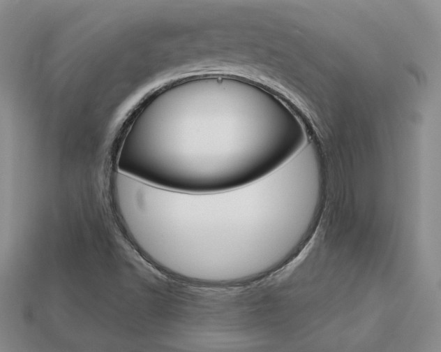 X0000113861502200909241015