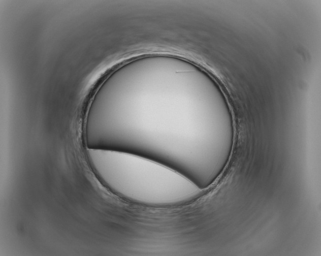 X0000113861503200909241015