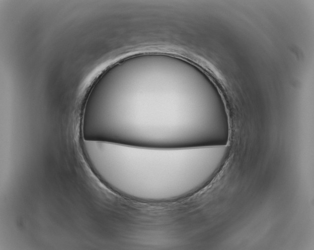 X0000113861504200909241015