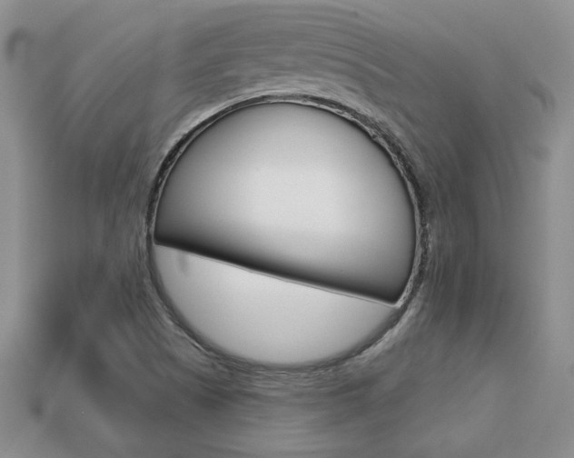 X0000113861505200909241015
