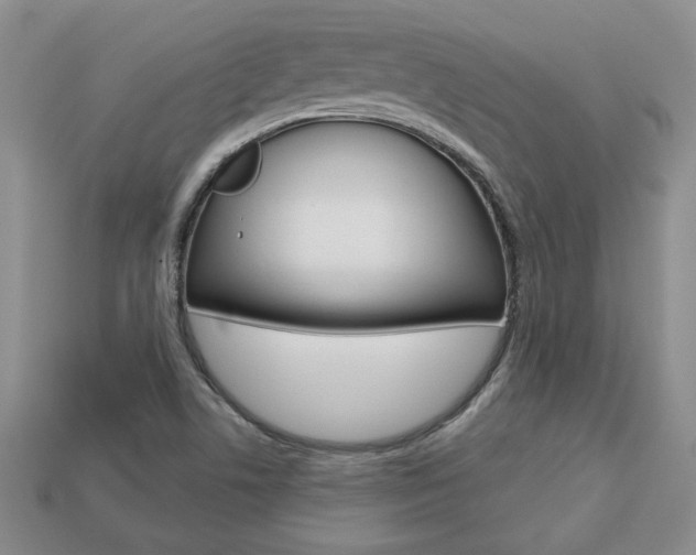 X0000113861506200909241015