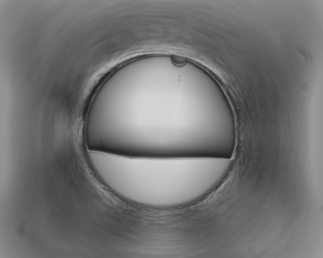 X0000113861507200909241015