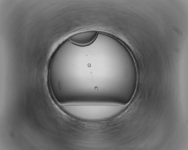 X0000113861508200909241015