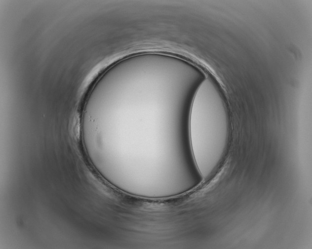 X0000113861509200909241015