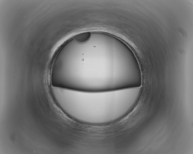 X0000113861510200909241015