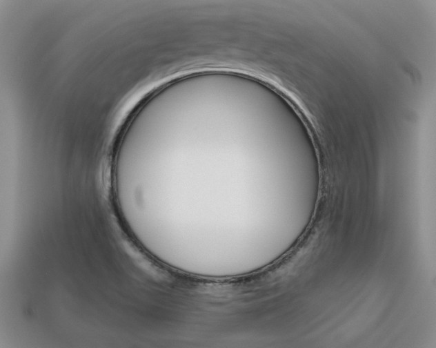 X0000113861511200909241015