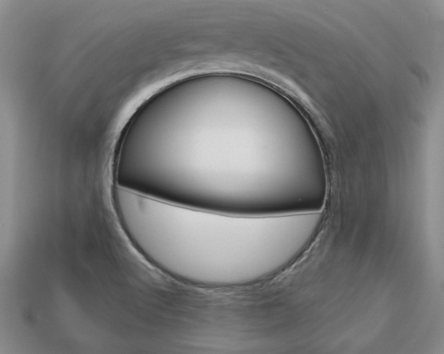 X0000113861512200909241015