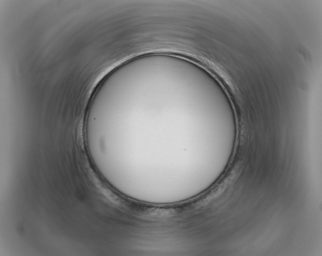 X0000113861513200909241015