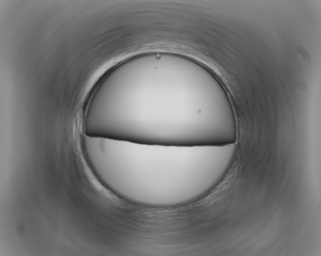 X0000113861515200909241015