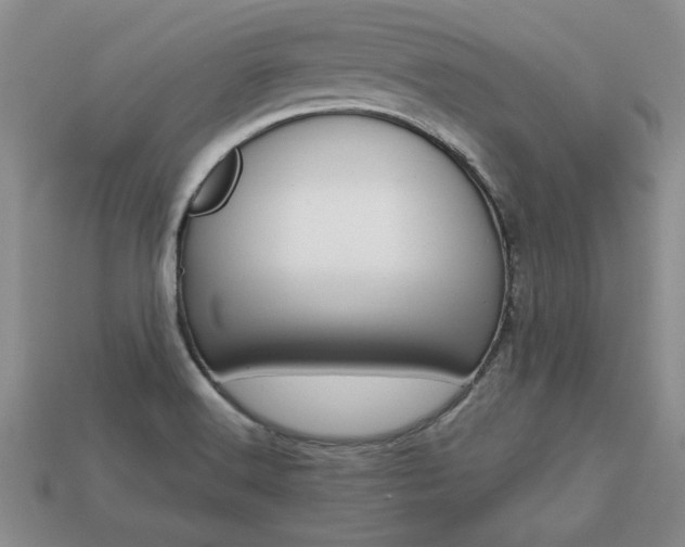 X0000113861516200909241015