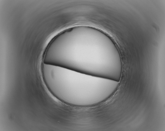 X0000113861519200909241015