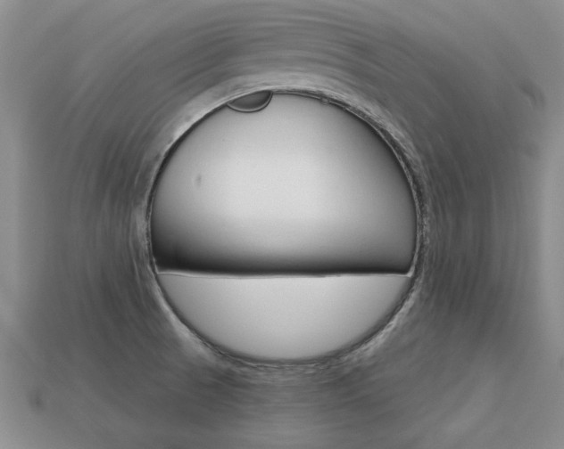 X0000113861521200909241015