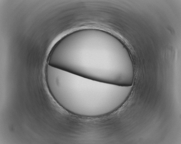 X0000113861522200909241015