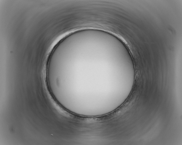 X0000113861523200909241015