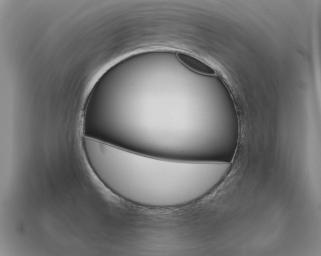 X0000113861524200909241015